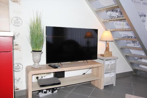 โทรทัศน์และ/หรือระบบความบันเทิงของ Sandpiper