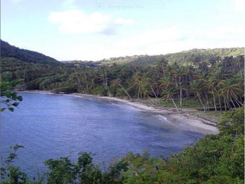 a view of a beach with trees and water at Firefly Estate Bequia in Crescent Beach