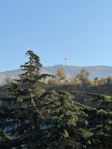 Un pino con una cruz al fondo en New Modern One bedroom Apartment Julija, en Skopje