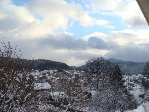 a view of a town in the snow at Drei Tannen in Bodenmais