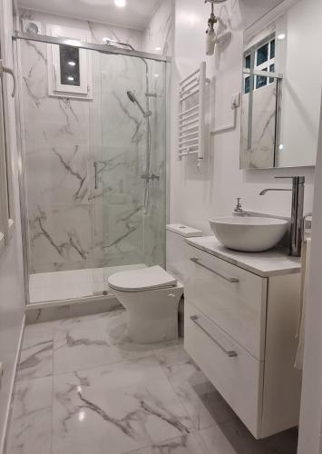 une salle de bain avec une douche, des toilettes et un lavabo dans l'établissement Appart cosy Paris Bercy, à Paris