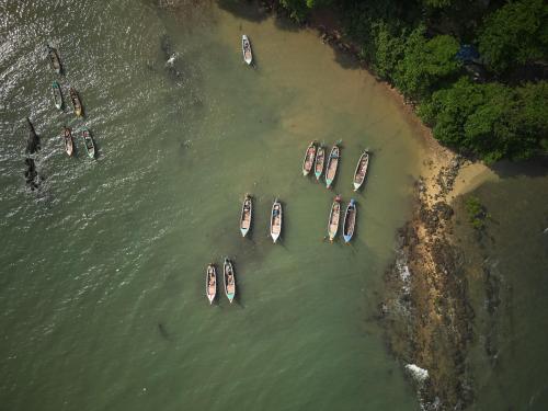 Landskap semula jadi dekat dengan resort