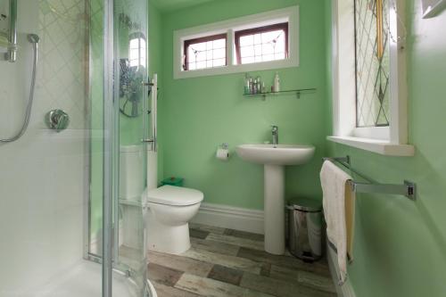 a green bathroom with a toilet and a sink at Merrybrook Studio in Oamaru