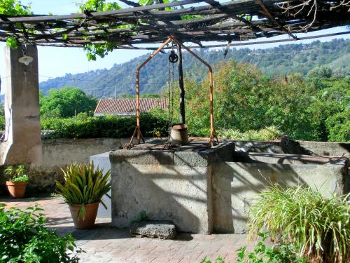 Il Limoneto Acireale – Photos 3