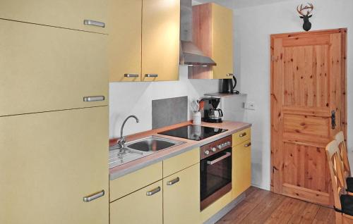 Dapur atau dapur kecil di Ferienwohnung Südmüritz