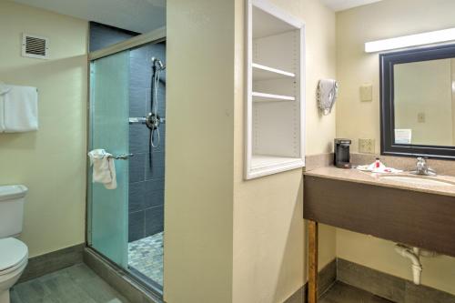 a bathroom with a shower and a toilet and a sink at Super 8 by Wyndham Knoxville West/Farragut in Knoxville