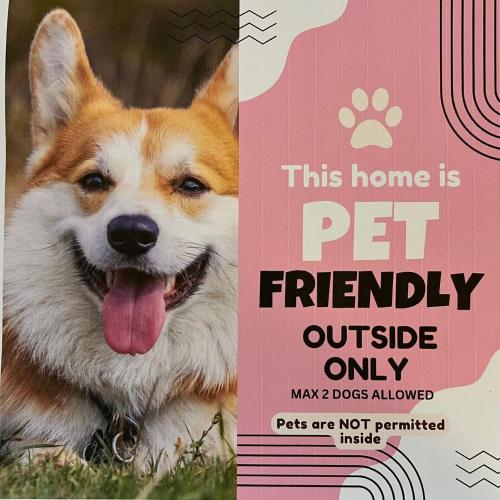 Domácí mazlíčci ubytovaní s hosty v ubytování Da Ja Surf - Pet Friendly