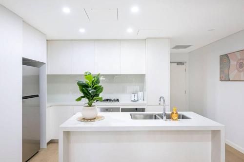 a white kitchen with a sink and a plant on a counter at Central Eastwood 3BR - Close to Shops & Transport in Sydney