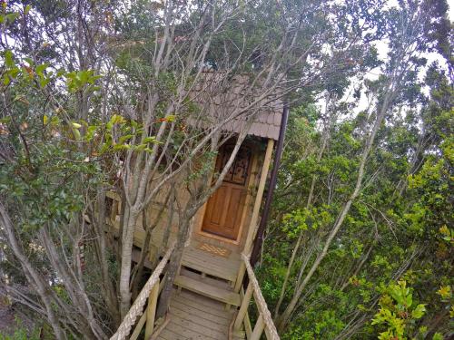 a tree house with a wooden door in the forest at La Casa Del Árbol De Chiloé in Castro