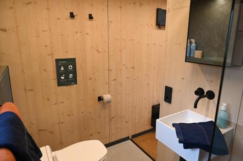 a bathroom with a toilet and a sink at Tiny House Pioneer 4 - Green Tiny Spot Friesland in Schortens