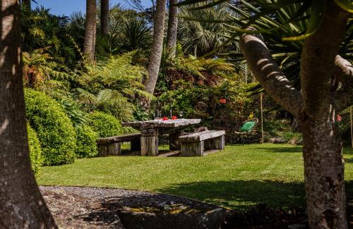a picnic table in a park with palm trees at The Green House - Bay of Islands Holiday Home in Kaeo