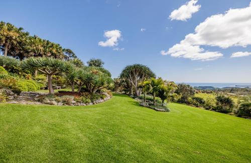 a green yard with palm trees and grass at The Green House - Bay of Islands Holiday Home in Kaeo