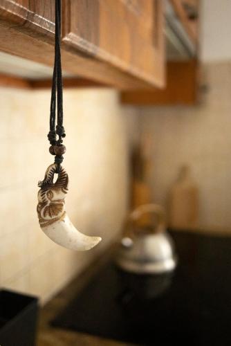 a kitchen with a spoon hanging from a kitchen counter at Doberek Noclegi w Beskidzie Niskim in Kobylanka