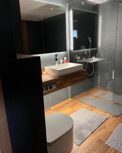 a bathroom with a sink and a toilet and a mirror at Doberek Noclegi w Beskidzie Niskim in Kobylanka