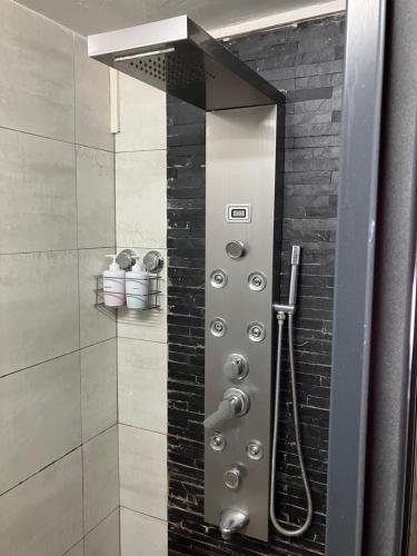 d'une douche avec une porte en verre et un pommeau de douche. dans l'établissement Seaview Terrace Appartement, à Flic-en-Flac