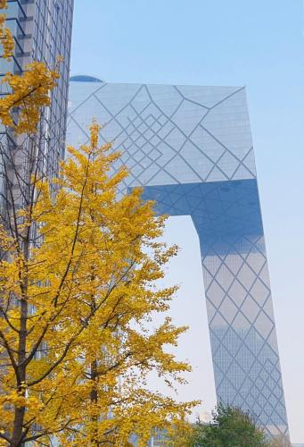 a yellow tree in front of a building at Kerry Hotel, Beijing by Shangri-La - 5 Kilometers to The Forbidden City in Beijing