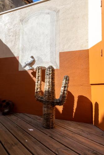 un cactus sur une terrasse avec un oiseau sur un mur dans l'établissement Le Vénus & L' Intra-Muros Cosy - Avec Terrasse, à Avignon
