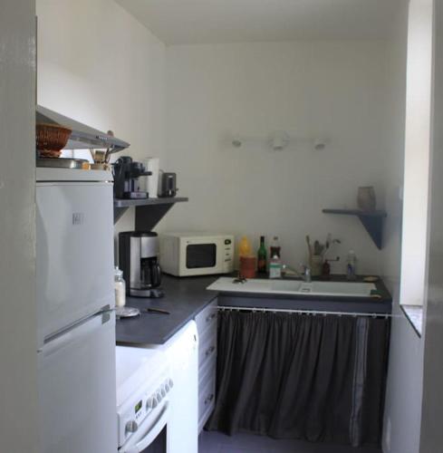 une cuisine avec un réfrigérateur blanc et un évier dans l'établissement Blois Vineuil Châteaux de la Loire, à Vineuil