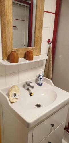 a bathroom with a sink with a mirror and a mirror at Treppenspeicher Killmann in Bispingen