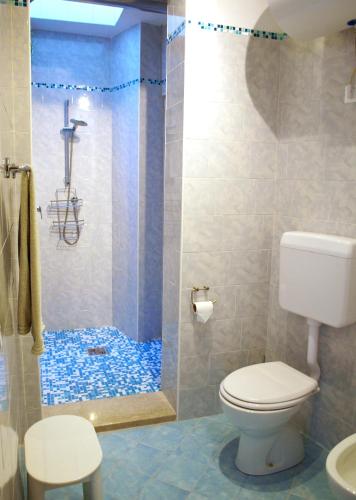 a bathroom with a shower with a toilet and a sink at Il Patio - Theater Home in Tignale
