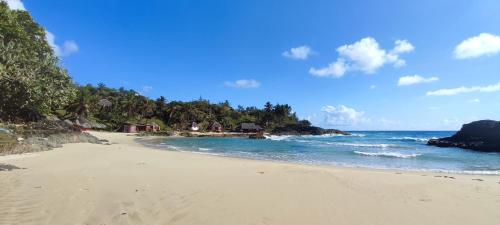 a sandy beach with trees and the ocean at Nosy-Borah Holidays in Analabe