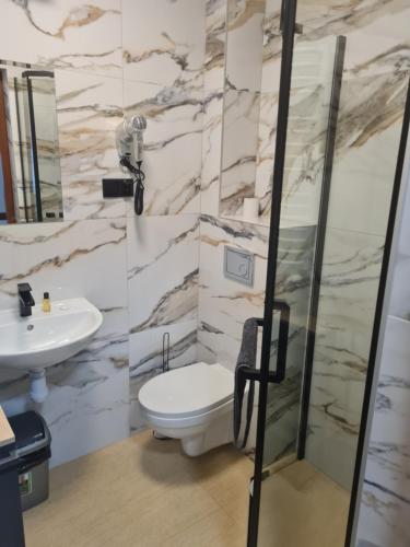 a bathroom with a toilet and a sink at Przystań Wodna Brody in Styków