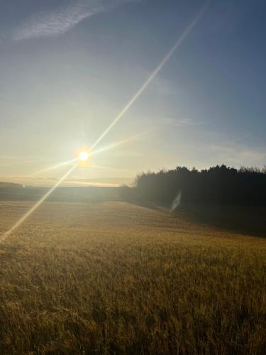 a field of grass with the sun in the sky at Stewards Bothy in Cornhill-on-tweed