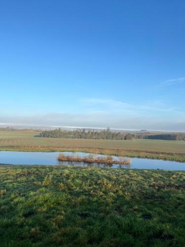 a view of a pond in a field at Stewards Bothy in Cornhill-on-tweed