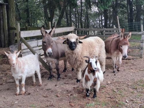 Studio 2 personnes au calme dans le Pilat