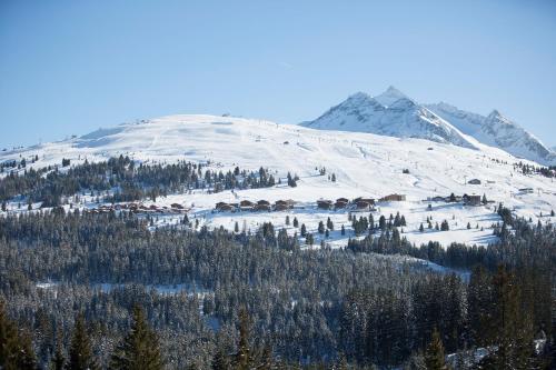 a snow covered mountain with trees in the foreground at Apartment Zwölferblick in Vorderkrimml