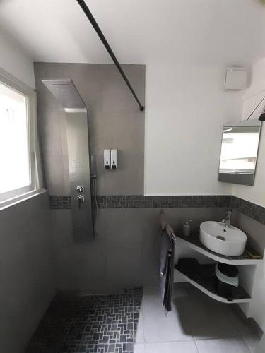 une salle de bain avec un lavabo et une douche dans l'établissement Studio 2 personnes au calme dans le Pilat, à Les Haies