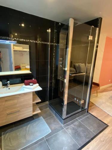 a bathroom with a shower and a sink at Villa Meyzieu Grand Large in Meyzieu