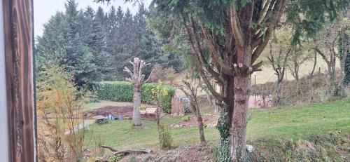 Κήπος έξω από το La Villa des Sources