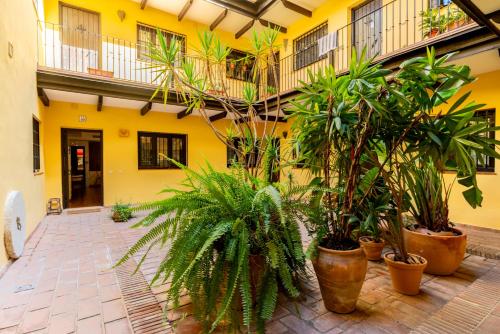 Loft en el Corral del Horno