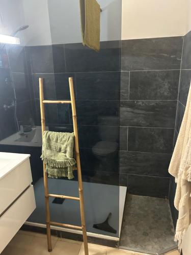 a bathroom with a black tiled shower with a ladder at Studio meublé bord de mer in Santa-Lucia-di-Moriani