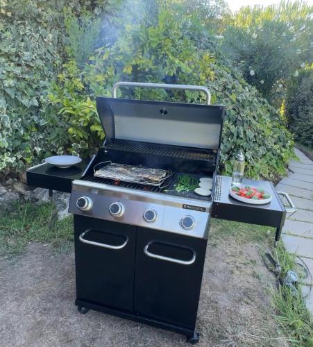 a barbecue grill with a plate of food on it at Mountain View Villa - Heated Big Pool-Quinta da BellaVista in Santarém