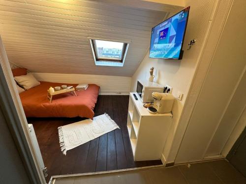TV a/nebo společenská místnost v ubytování LeRelaisdOdile - Suite Studios Confort - Idéal PRO & Couple - LILLE VAUBAN