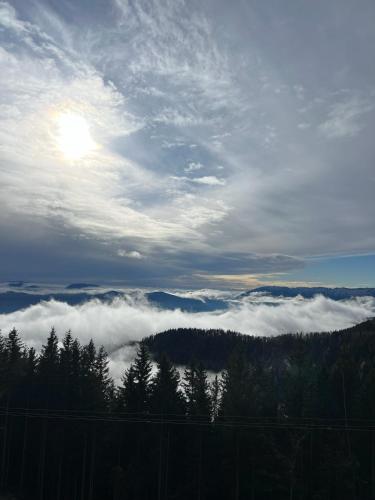インの近くで見られる自然の景観