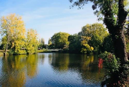 Châteaux de la Loire - Près de Tours - Cottage EAU CALME en Bord de Lac