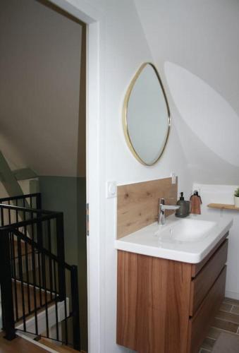une salle de bain avec un lavabo et un miroir au mur dans l'établissement Châteaux de la Loire - Près de Tours - Cottage EAU CALME en Bord de Lac, à Saint-Avertin