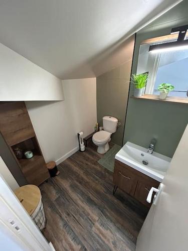 une salle de bain avec toilettes, lavabo et miroir dans l'établissement Magnifique Duplex à proximité Aix en Provence, à Éguilles