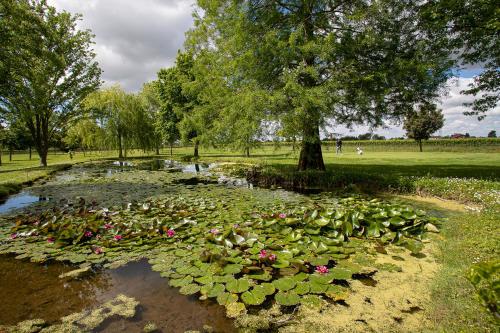 a pond filled with lily pads and a tree at Ancora Sport Resort Hotel in Meolo