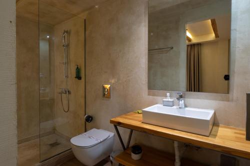 a bathroom with a sink and a toilet and a shower at Panellinion Luxury Rooms in Kalamata