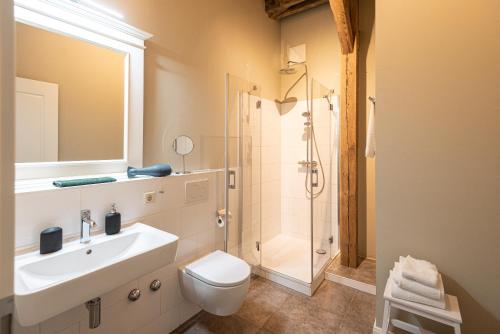 a bathroom with a toilet sink and a shower at Storchenhof Blumenow in Blumenow