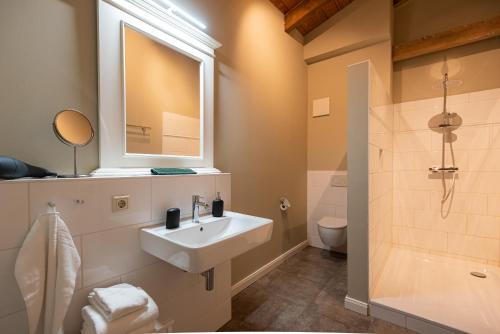 a bathroom with a sink and a toilet and a window at Storchenhof Blumenow in Blumenow