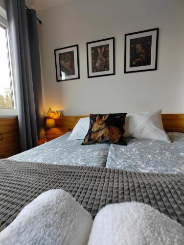 Gallery image of Zającówka in Polanica-Zdrój