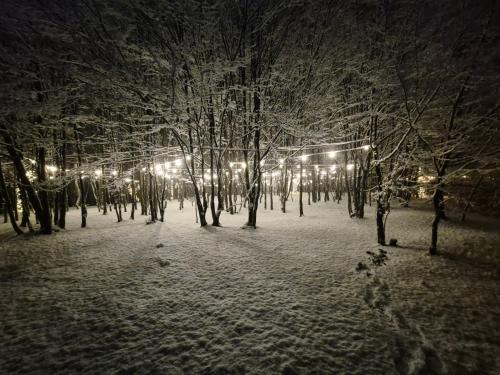 a park covered in snow at night with lights at Cabana Pietrusa in Cavnic