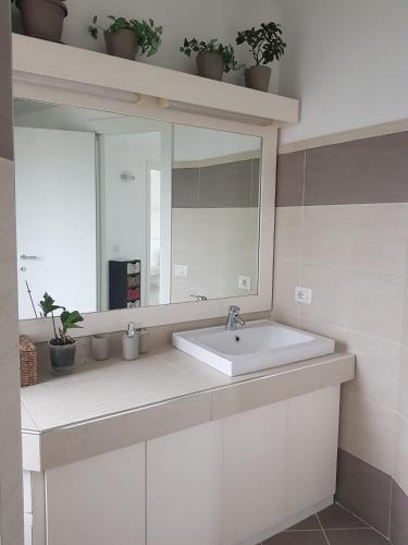 a bathroom with a sink and a mirror at Roma - Casalpalocco - Amipsia in Casal Palocco