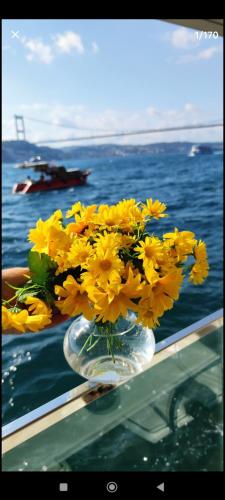 A beautiful house on the Bosphorus in a wonderful garden