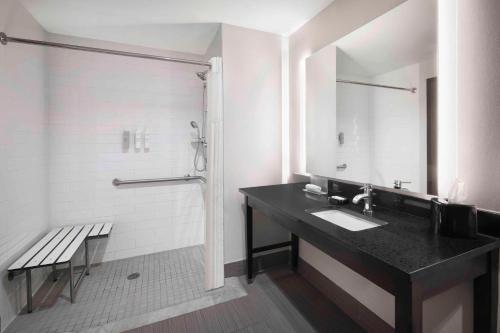 a bathroom with a sink and a shower at Hampton Inn & Suites Denver Downtown Convention Center in Denver